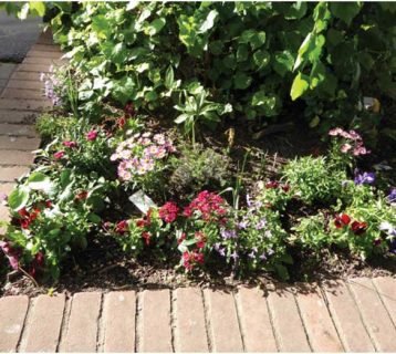 gardenimage