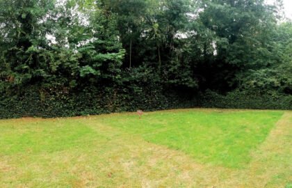 IMG_20200727_175416