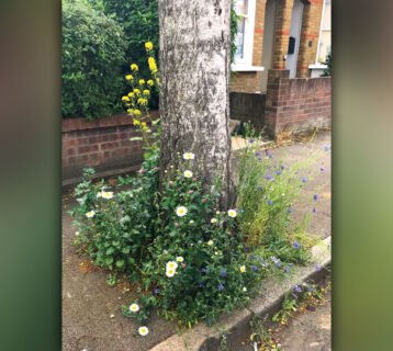 190522-Halstead-Road-cropped