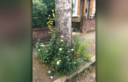 190522-Halstead-Road-cropped