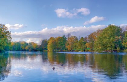 Wanstead-Park-Lake-stitched
