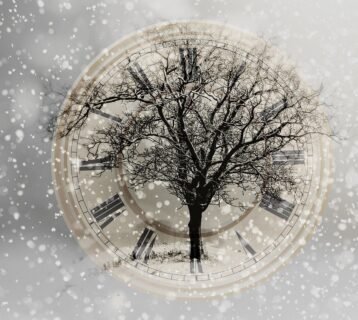 snow-2910676_1280