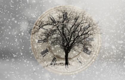 snow-2910676_1280