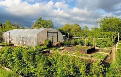 allotments