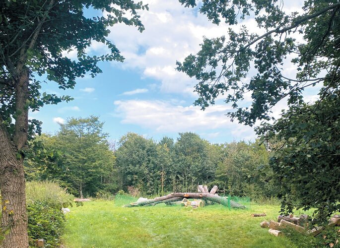 The site for the new Wanstead Park play area