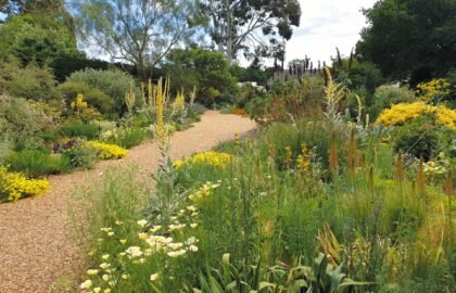 gravel-garden-may