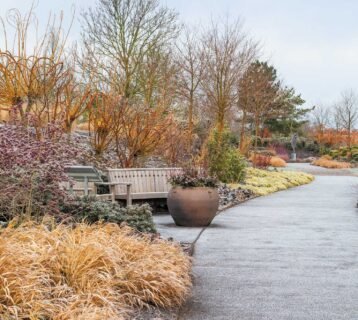 Hyde-Hall-Winter-Garden-(c)-RHS-Images-(2)