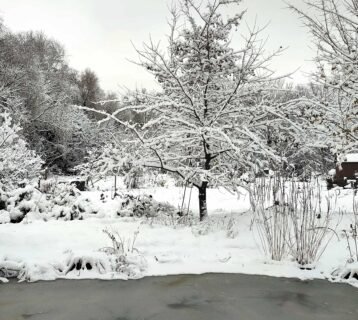 allotment