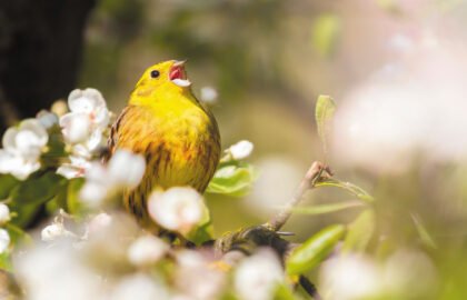 AdobeStock_560434228