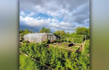 allotments