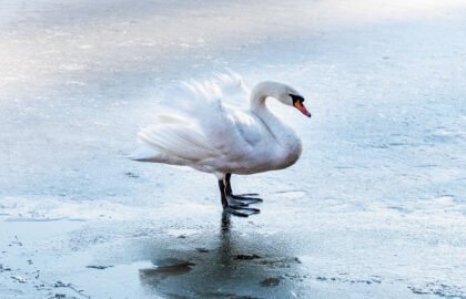 AdobeStock_487215603