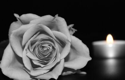 rose-1273727_1280