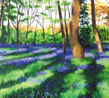 Bluebell-Wood-(2)