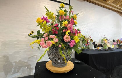 IMG_0568