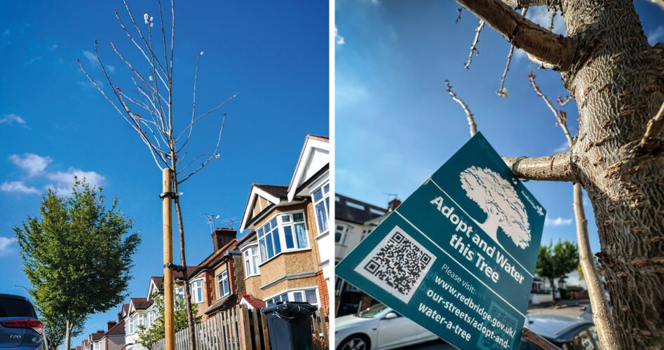 WVD-MAY-2025-tree