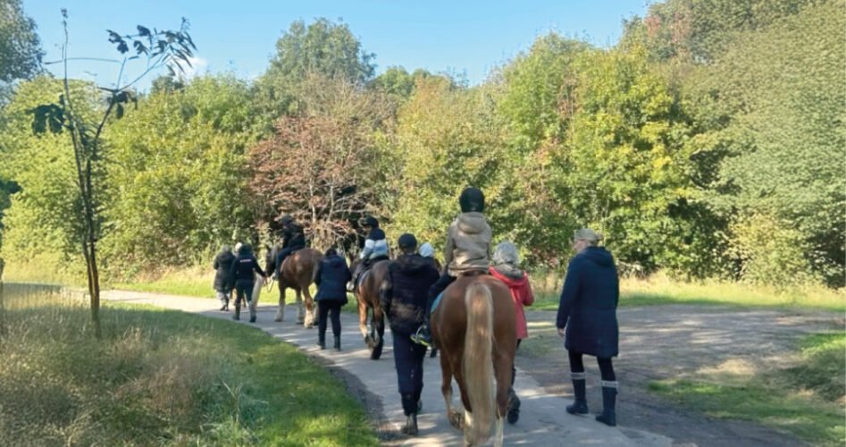 WVD-JUL-2025-horse