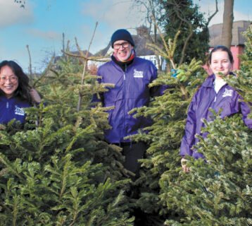 SWVG-JAN-FEB-2026-tree