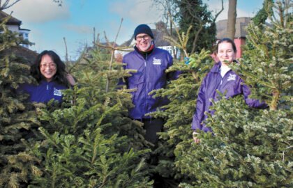 SWVG-JAN-FEB-2026-tree