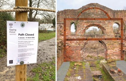 WVD-FEB-2026-grotto2