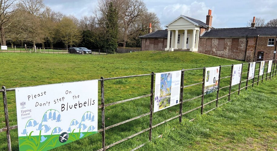 WVD-APR-2026v2-boards