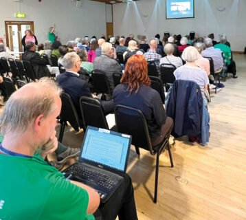Crowd-screening