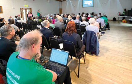 Crowd-screening